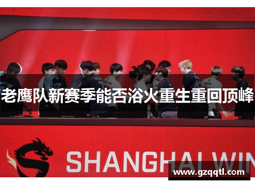 老鹰队新赛季能否浴火重生重回顶峰